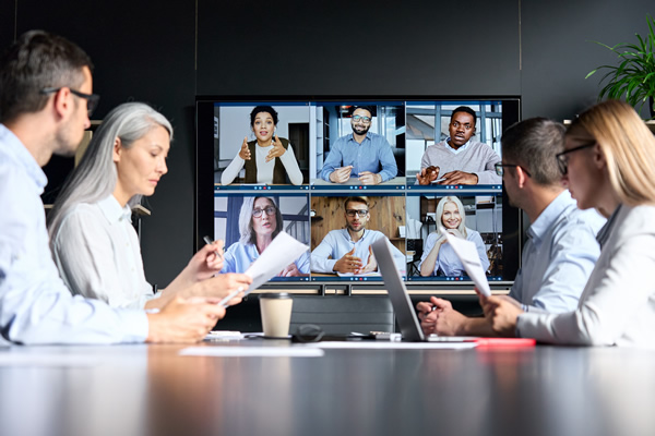 Intellispring™ provides full-featured and flexible business to business web conferencing